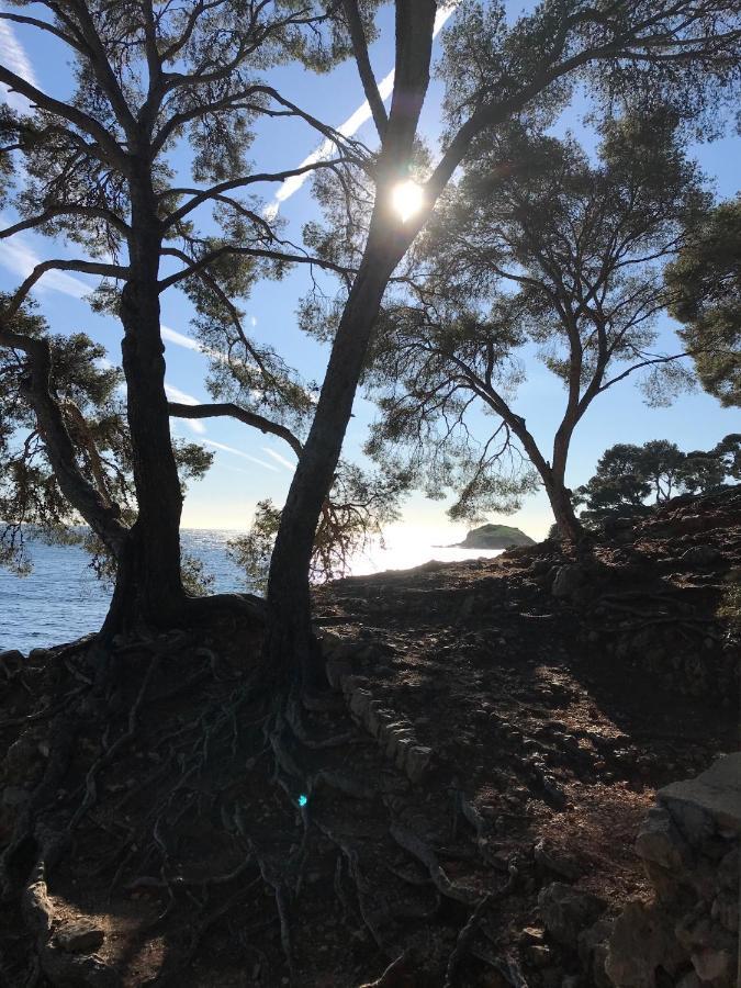 Villa Lucienne Bandol , T2 4 Etoiles Avec Garage, Dans Les Calanques Eksteriør bilde